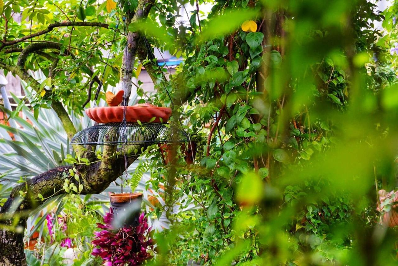 Mekong Pottery Homestay, Green-Friendly & Boat Tour Vĩnh Long Exteriör bild