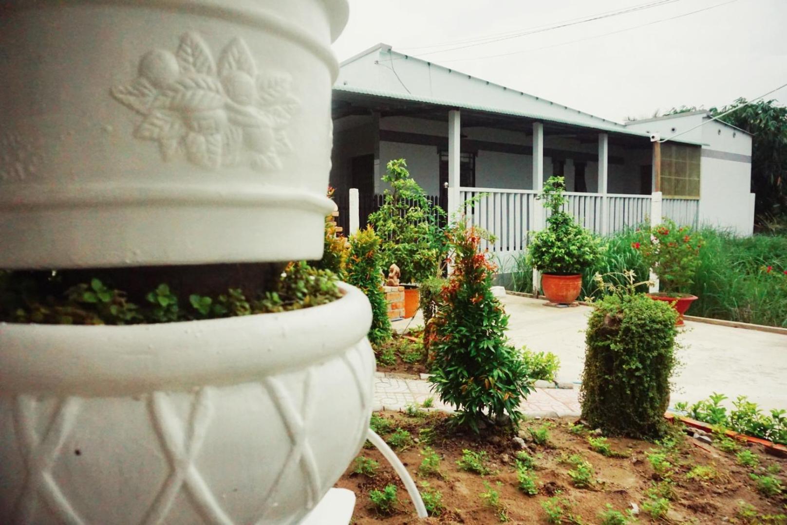 Mekong Pottery Homestay, Green-Friendly & Boat Tour Vĩnh Long Rum bild